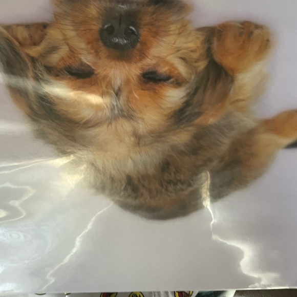 PET THEMED BINDERS KEITH KIMBERLIN - Picture 2 of 7